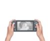 Picture of Nintendo Switch Lite 32GB Console GREY :